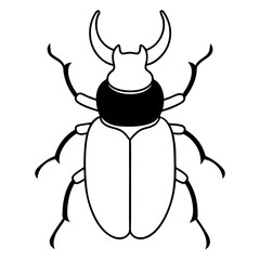 Simple Dung Beetle Line Art Illustration