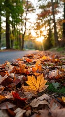 Autumn leaves covering a road. Sunlight filtering through trees