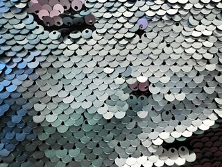 Shiny Sequined Fabric