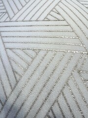 Shiny Sequined Fabric