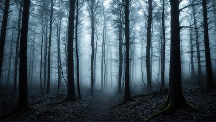 Obraz premium Foggy Winter Forest with Tall Trees and a Cold Atmosphere