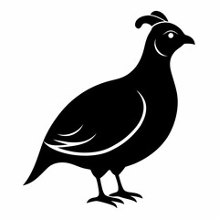 Sleek Quail Silhouette Vector