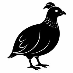 Sleek Quail Silhouette Vector