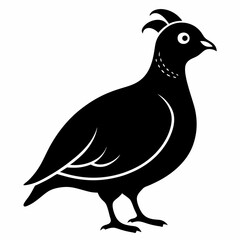 Sleek Quail Silhouette Vector