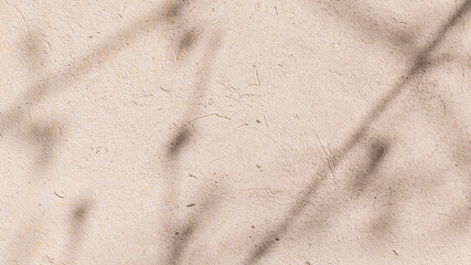 Shadows of dry grass on a light beige plastered concrete wall on a summer day