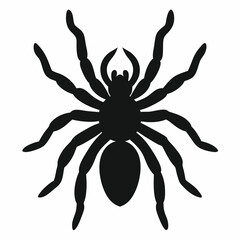 Sleek Tarantula Outline Illustration