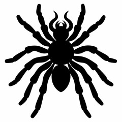 Obraz premium Sleek Tarantula Outline Illustration