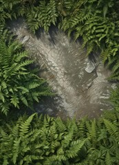 Emerald moss blankets weathered stone, ferns unfurl ,  shady,  wildflower,  natural