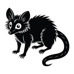 Aye-Ayel on white background