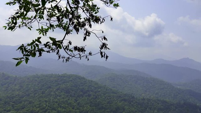charmadi ghat western Mountain in Karnataka