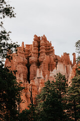 Bryce Canyon, Utah, hoodoos, tree, sandstone, canyon, rock formations, national park, nature,...