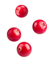 Cranberries Floating on White Background