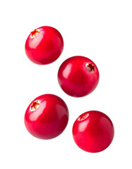 Cranberries Floating on White Background
