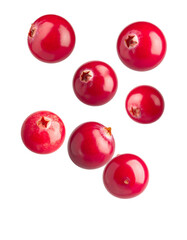 Cranberries Floating on White Background
