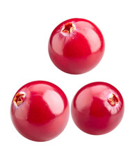 Obraz premium Cranberries Floating on White Background