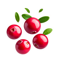 Obraz premium Cranberries Floating on White Background