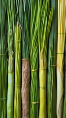 Fototapeta premium Bundles of various vibrant green stalks, tied together