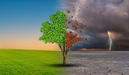 creative concept image compare of global warming. 