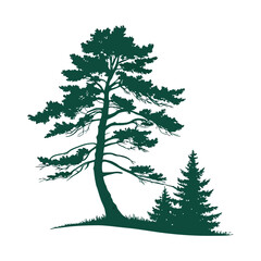 Obraz premium A simple, symmetrical of a tall evergreen pine tree with layered branches, dark green color, isolated on a clean and minimalistic flat vector style