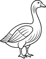 goose outline vector illustration on white background