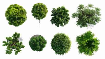 Fototapeta premium set of green lettuce isolated on white vector