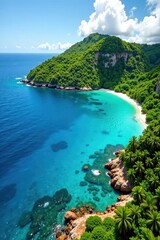 Obraz premium Lush island landscape meets pristine coral reef , marine life, ocean view, palm trees