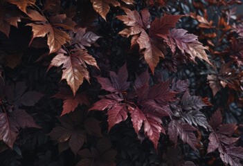 Intricate dark foliage, rich jewel-toned leaves, textured surface , texture, print, tropical