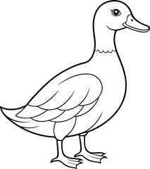 wild duck outline vector illustration on white background