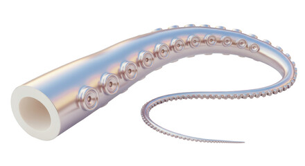 Obraz premium Isolated Iridescent Octopus Tentacle