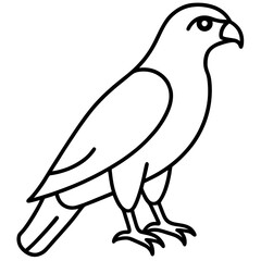 Fototapeta premium Sleek Hawk Outline Vector Illustration