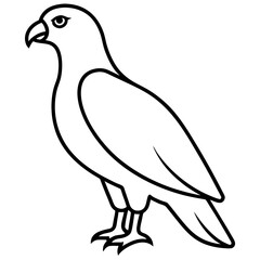 Sleek Hawk Outline Vector Illustration