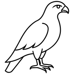Sleek Hawk Outline Vector Illustration