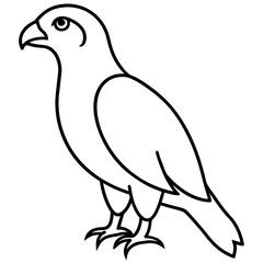 Sleek Hawk Outline Vector Illustration