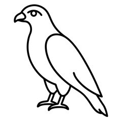 Sleek Hawk Outline Vector Illustration