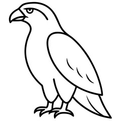 Sleek Hawk Outline Vector Illustration