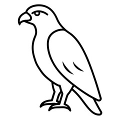 Sleek Hawk Outline Vector Illustration