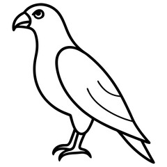 Sleek Hawk Outline Vector Illustration