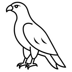 Sleek Hawk Outline Vector Illustration