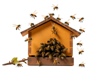 A Captivating Scene, A Beautifully Lit Rustic Farm Beehive Abuzz with Honeybees, Showcasing the Intricate Dance of Nature and Agriculture Harmony