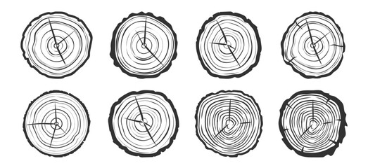 Tree Trunk Rings Vector Set – Hand Drawn Wood Grain Cross Sections with Saw Cut Texture © Pavlo