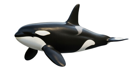 Isolated Orca Whale Aquatic Mammal Marine Animal