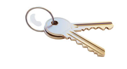 Isolated Silver and Gold Keys on Ring