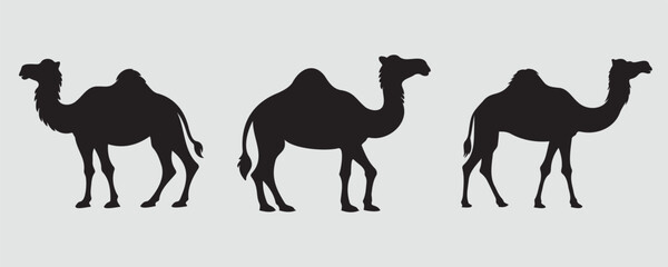 Naklejka premium Silhouettes of camels with one hump in different standing poses, displayed in black on a light background