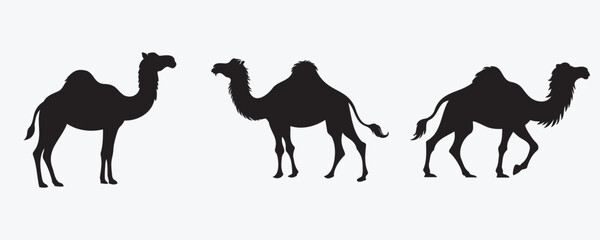 Silhouettes of camels with one hump in different standing poses, displayed in black on a light background