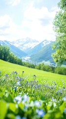 Lush green meadow with wildflowers and snow-capped mountains