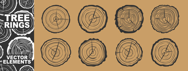 Wooden texture with tree rings. Saw cut timber, wood. Hand drawn sketch. Cross section of tree stump slice with age rings