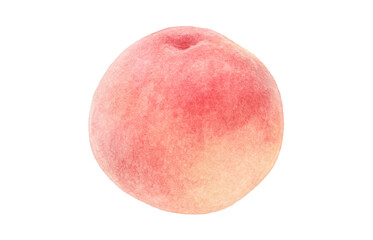 桃 イラスト 水彩 白桃