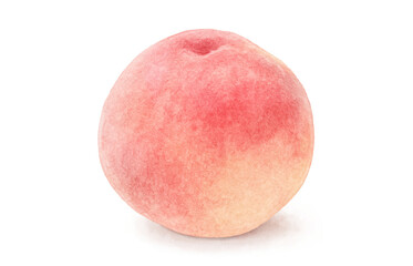 桃 イラスト 水彩 白桃