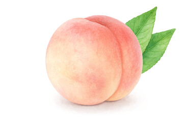 桃 イラスト 水彩 白桃