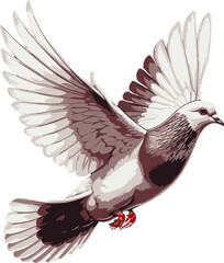pigeon